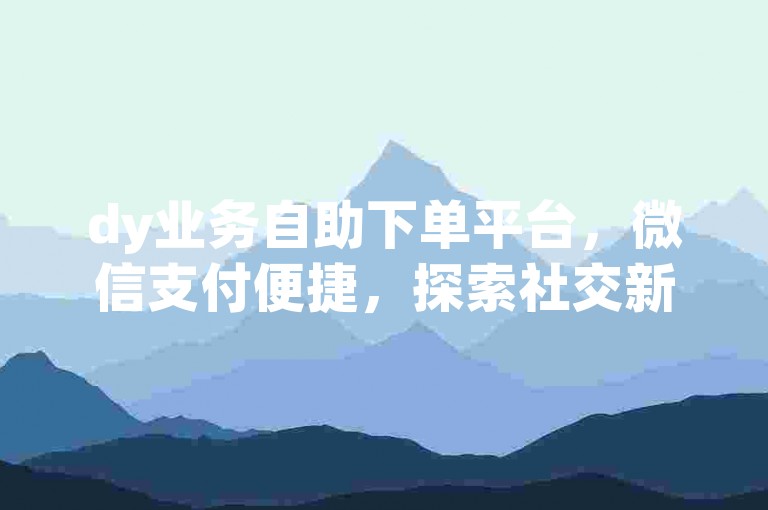 dy业务自助下单平台，微信支付便捷，探索社交新境界。