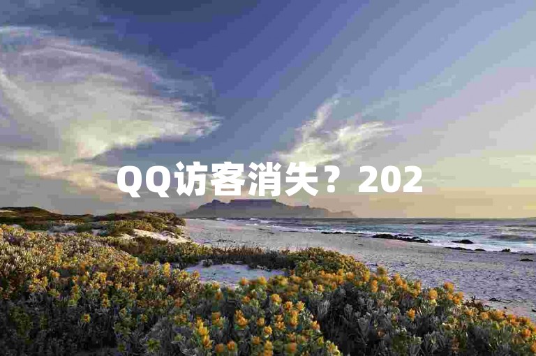 QQ访客消失？2025年必学解决之道，独家揭秘！