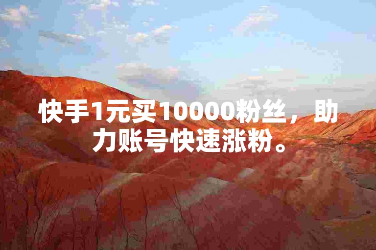 快手1元买10000粉丝，助力账号快速涨粉。