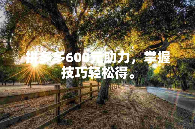 拼多多600元助力，掌握技巧轻松得。
