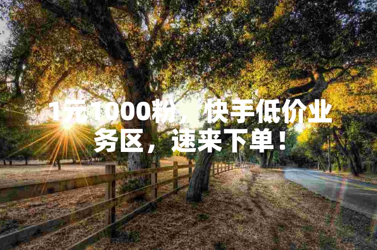 1元1000粉，快手低价业务区，速来下单！