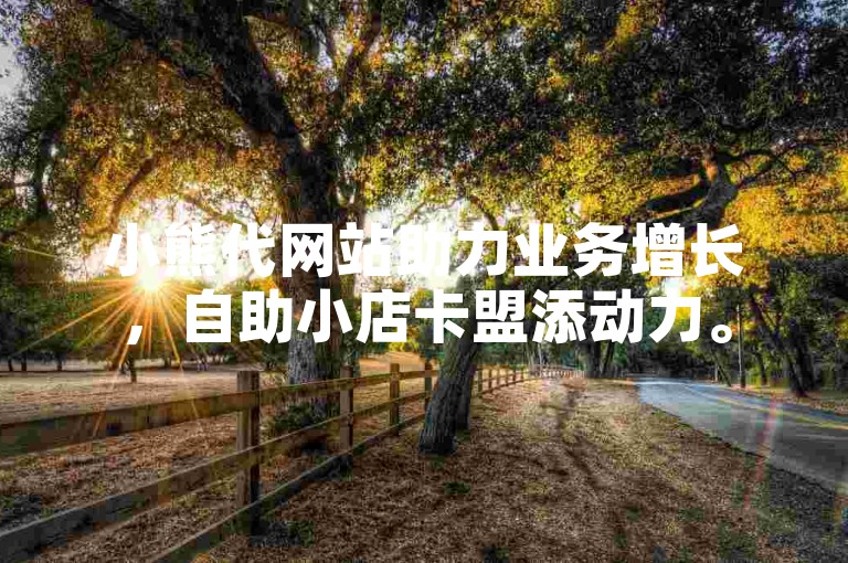 小熊代网站助力业务增长，自助小店卡盟添动力。
