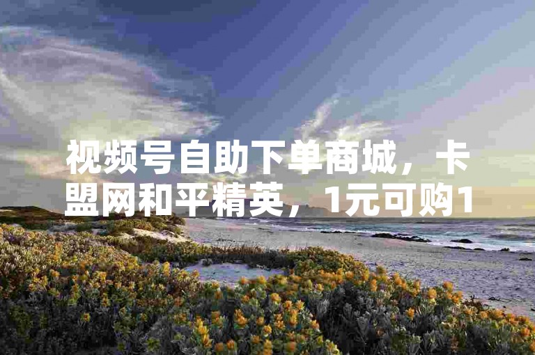 视频号自助下单商城，卡盟网和平精英，1元可购1000粉。