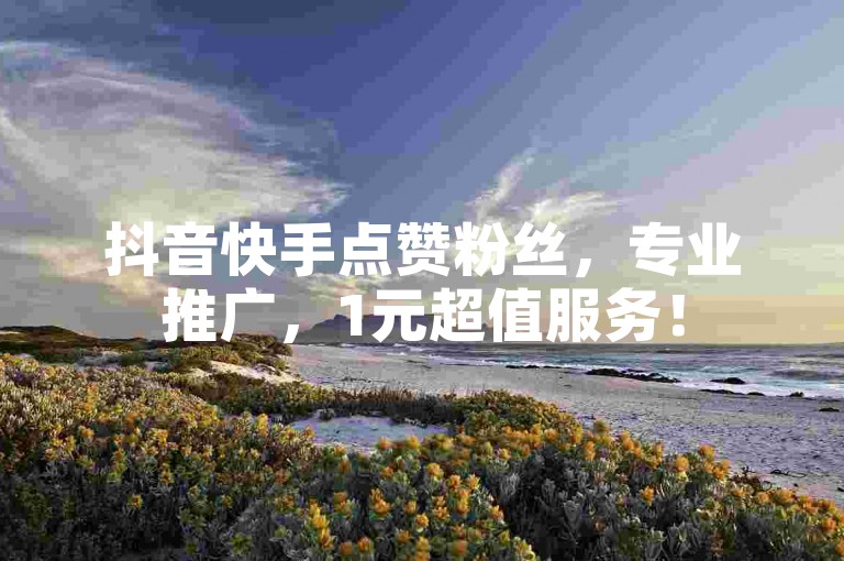 抖音快手点赞粉丝，专业推广，1元超值服务！