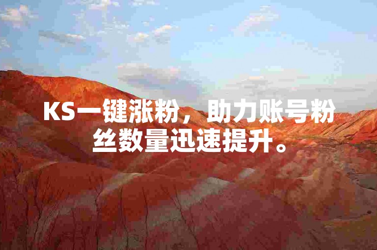 KS一键涨粉，助力账号粉丝数量迅速提升。