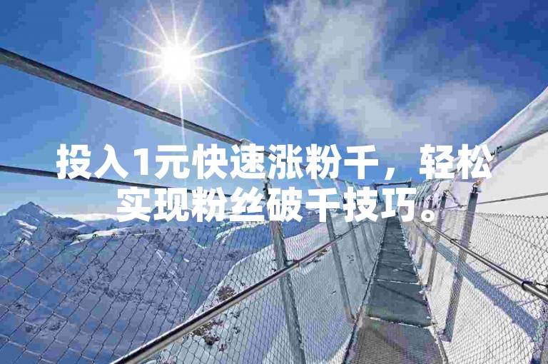 投入1元快速涨粉千，轻松实现粉丝破千技巧。