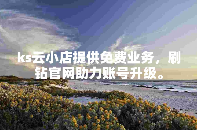 ks云小店提供免费业务，刷钻官网助力账号升级。