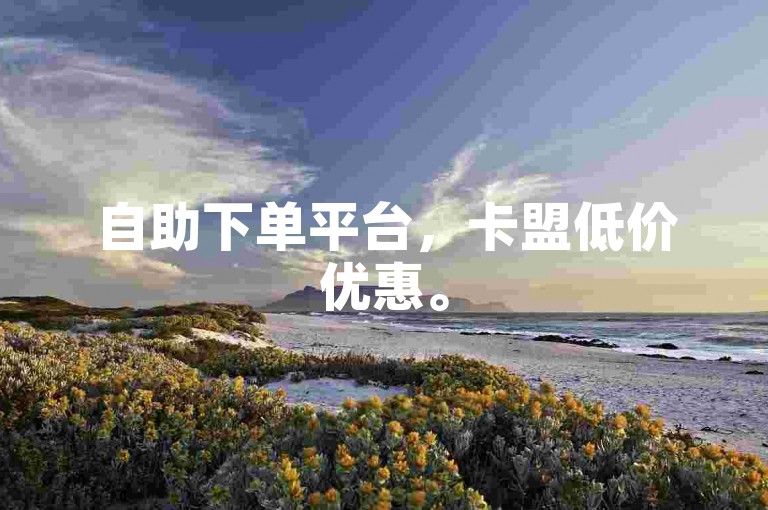 自助下单平台，卡盟低价优惠。
