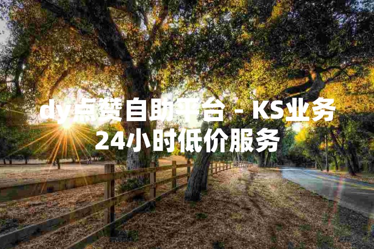 dy点赞自助平台 - KS业务24小时低价服务