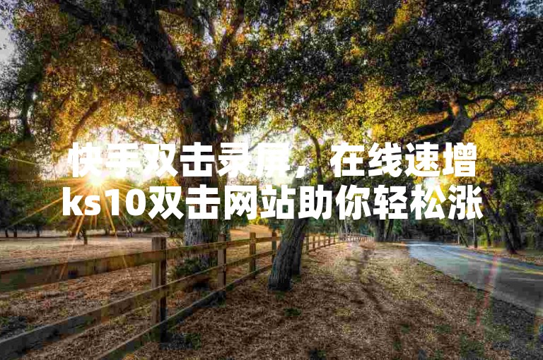 快手双击录屏，在线速增ks10双击网站助你轻松涨。