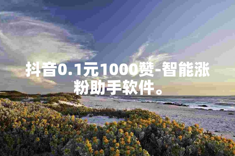 抖音0.1元1000赞-智能涨粉助手软件。