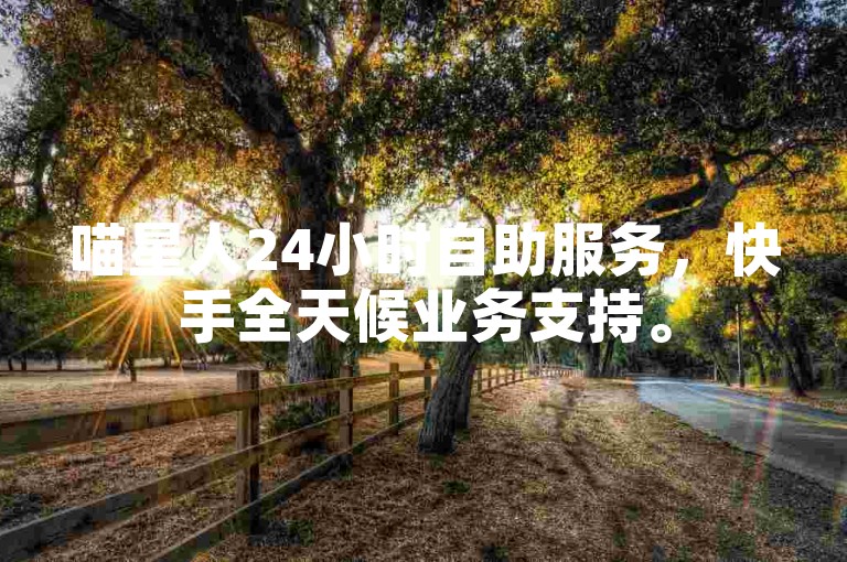 喵星人24小时自助服务，快手全天候业务支持。