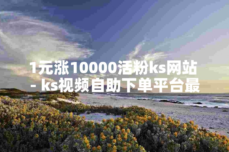 1元涨10000活粉ks网站 - ks视频自助下单平台最便宜