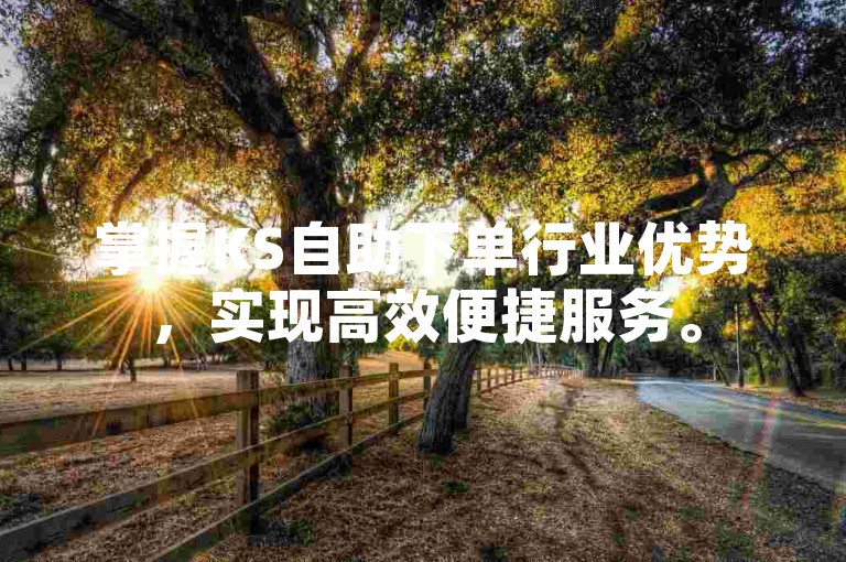 掌握KS自助下单行业优势，实现高效便捷服务。