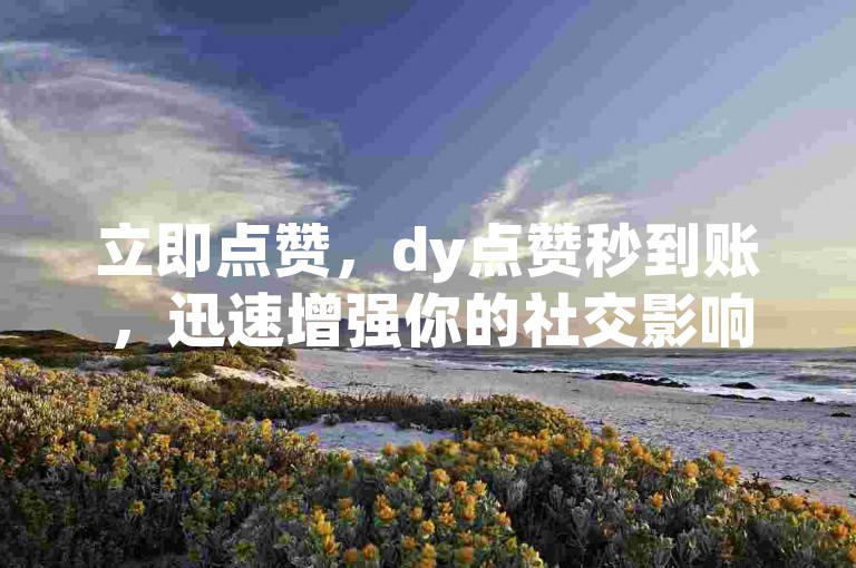 立即点赞，dy点赞秒到账，迅速增强你的社交影响力！