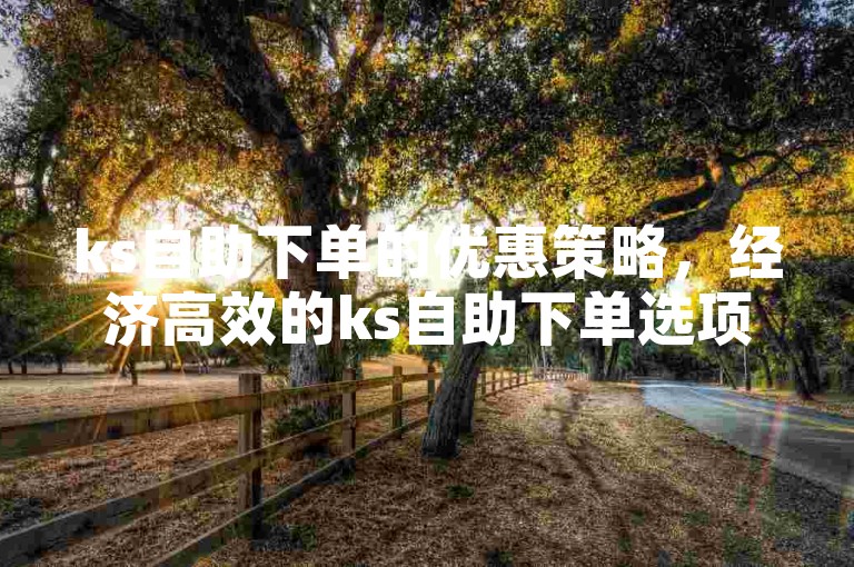 ks自助下单的优惠策略，经济高效的ks自助下单选项！新手必选！