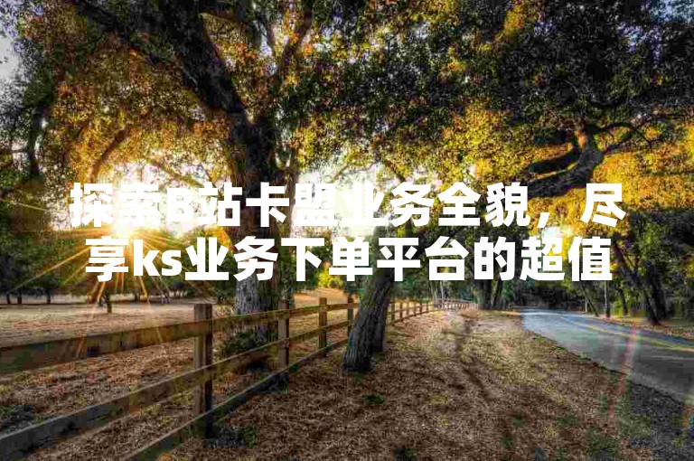 探索B站卡盟业务全貌，尽享ks业务下单平台的超值优惠。