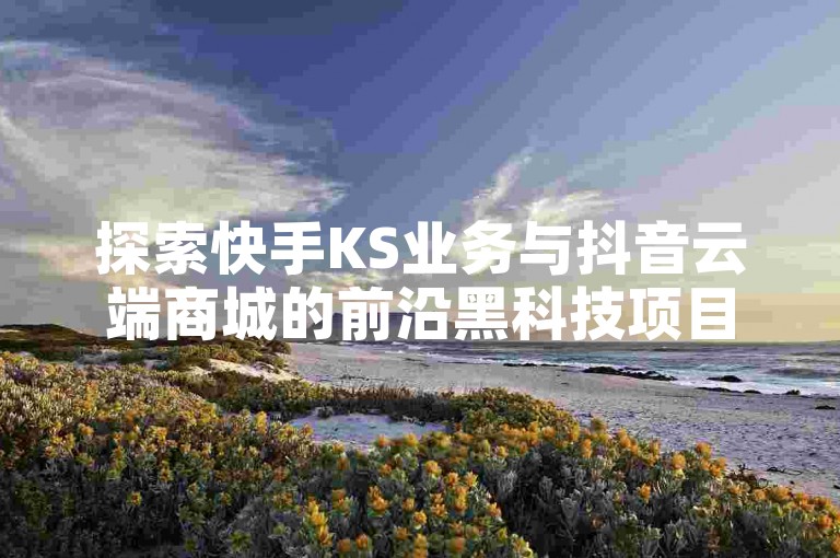 探索快手KS业务与抖音云端商城的前沿黑科技项目，开启数字营销新纪元。
