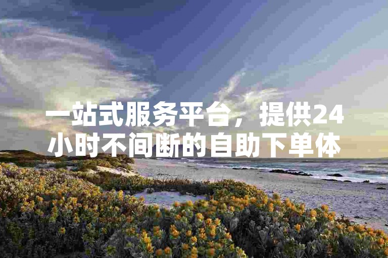 一站式服务平台，提供24小时不间断的自助下单体验，确保您以全网最优惠的价格获得所需服务。
