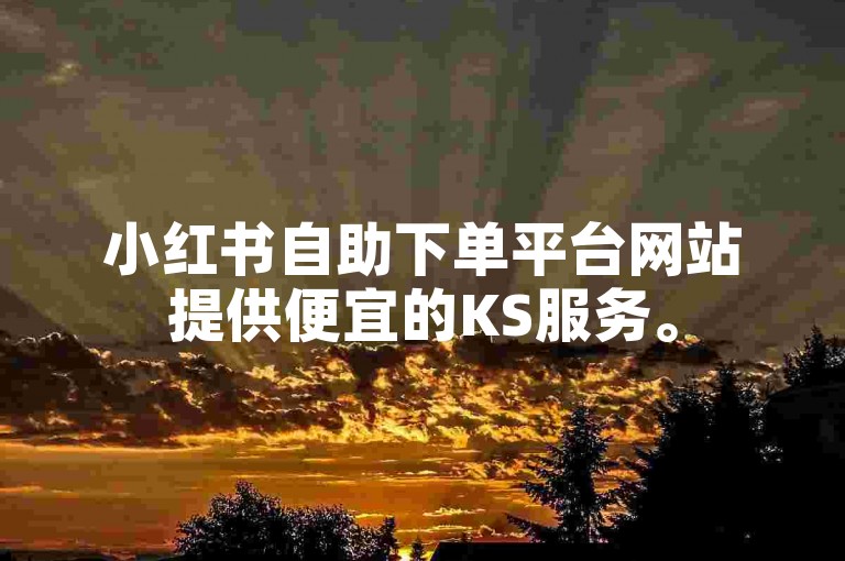 小红书自助下单平台网站提供便宜的KS服务。