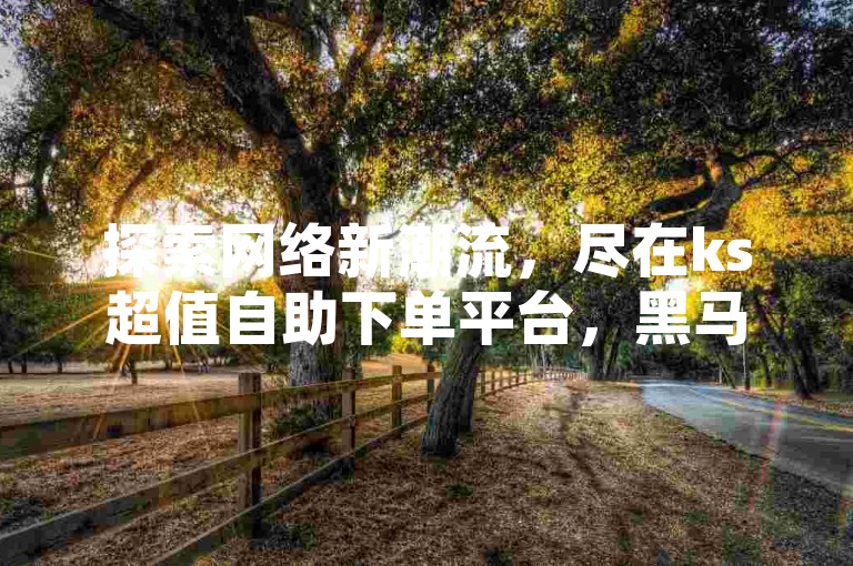 探索网络新潮流，尽在ks超值自助下单平台，黑马卡盟网带您体验一毛钱换取千粉的惊喜 - 快手平台。