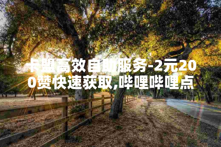 卡盟高效自助服务-2元200赞快速获取,哔哩哔哩点赞秒达在线平台。