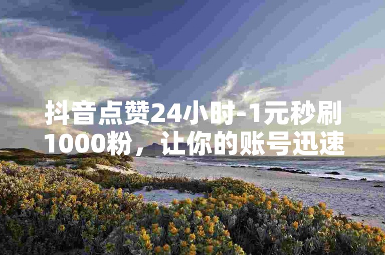 抖音点赞24小时-1元秒刷1000粉，让你的账号迅速走红！