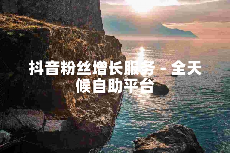 抖音粉丝增长服务 - 全天候自助平台