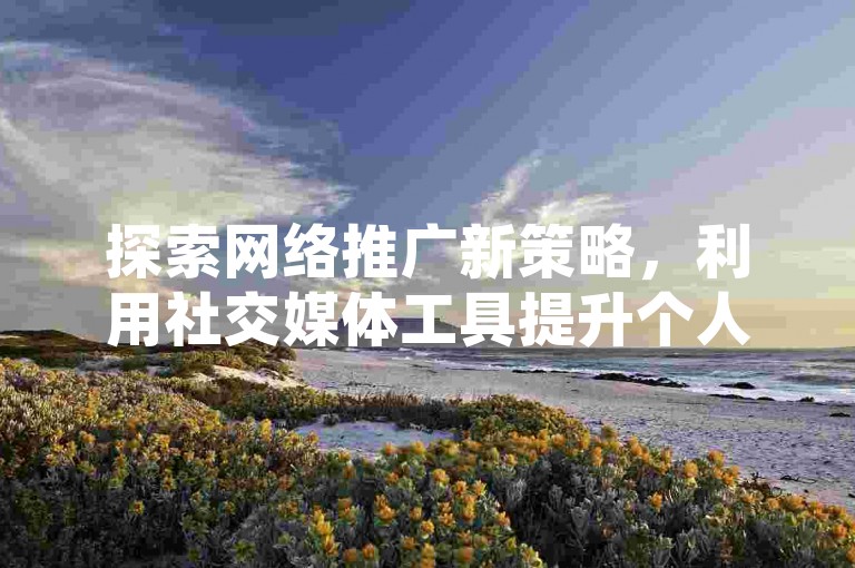 探索网络推广新策略，利用社交媒体工具提升个人品牌影响力。