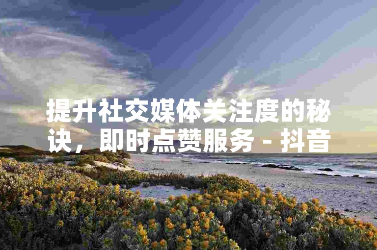 提升社交媒体关注度的秘诀，即时点赞服务 - 抖音互动增强工具自动评论 - 全天候在线订购系统ks
