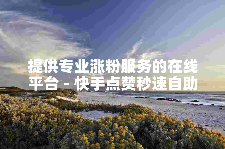提供专业涨粉服务的在线平台 - 快手点赞秒速自助操作
