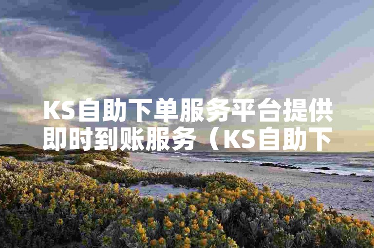 KS自助下单服务平台提供即时到账服务（KS自助下单平台——高效结算解决方案）。
