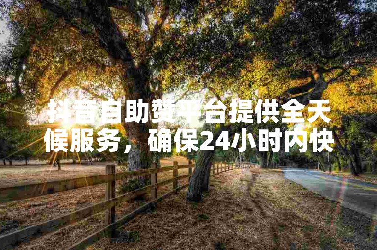抖音自助赞平台提供全天候服务，确保24小时内快速发货。