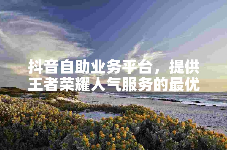 抖音自助业务平台，提供王者荣耀人气服务的最优惠网站。