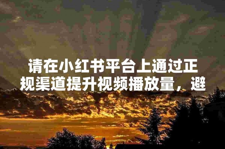 请在小红书平台上通过正规渠道提升视频播放量，避免使用非官方认可的刷量服务。