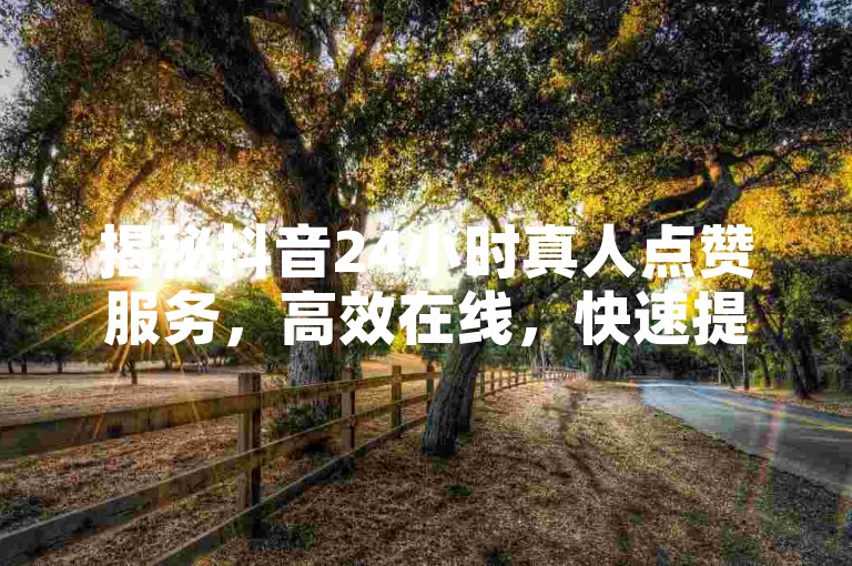 揭秘抖音24小时真人点赞服务，高效在线，快速提升影响力！