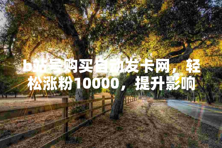 b站号购买自动发卡网，轻松涨粉10000，提升影响力。