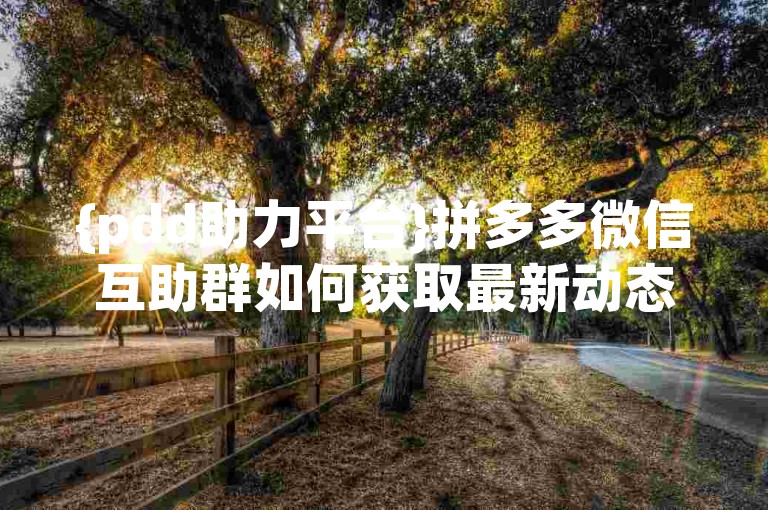{pdd助力平台}拼多多微信互助群如何获取最新动态？
