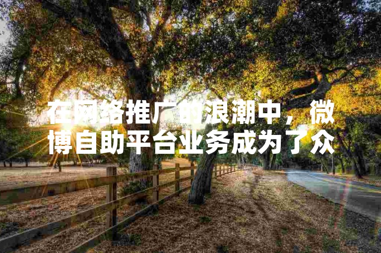 在网络推广的浪潮中，微博自助平台业务成为了众多今日头条创作者提升影响力的有力工具。