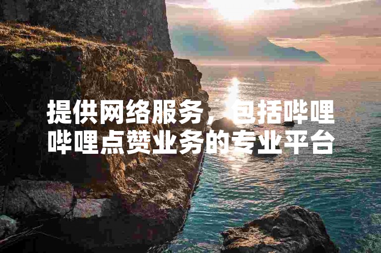 提供网络服务，包括哔哩哔哩点赞业务的专业平台。