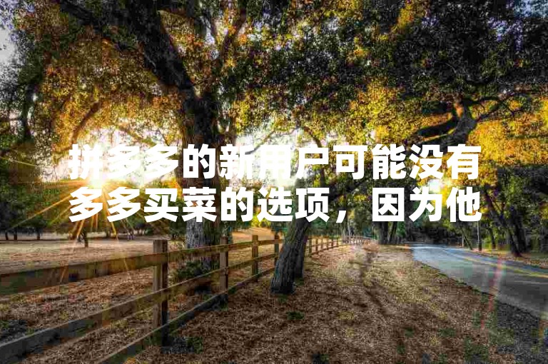 拼多多的新用户可能没有多多买菜的选项，因为他们需要先完成拼多多帮忙助力的任务。