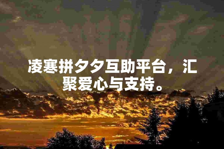 凌寒拼夕夕互助平台，汇聚爱心与支持。