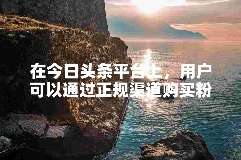 在今日头条平台上，用户可以通过正规渠道购买粉丝来增加自己的影响力。