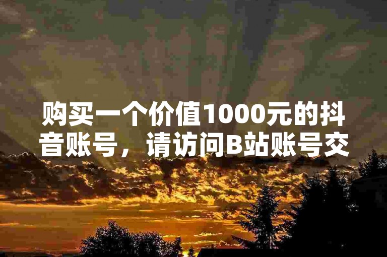 购买一个价值1000元的抖音账号，请访问B站账号交易平台。