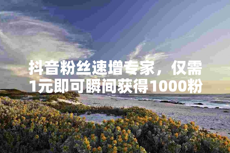 抖音粉丝速增专家，仅需1元即可瞬间获得1000粉丝。