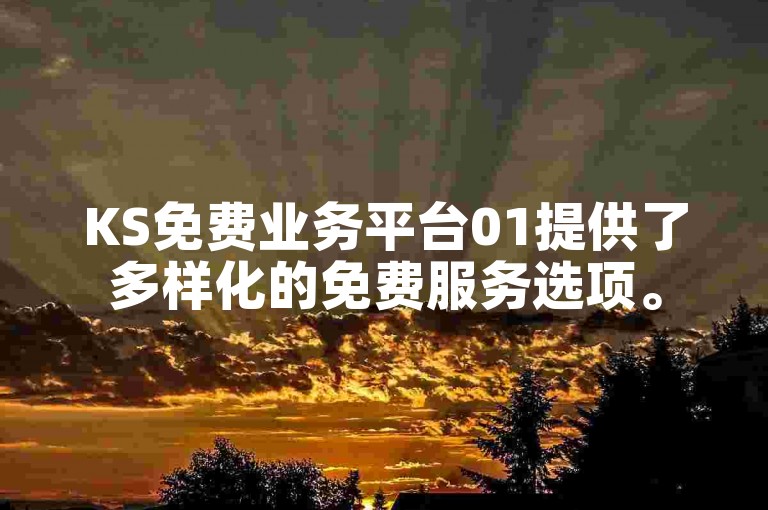KS免费业务平台01提供了多样化的免费服务选项。