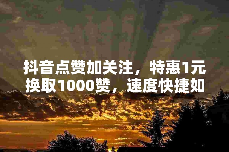 抖音点赞加关注，特惠1元换取1000赞，速度快捷如闪电。