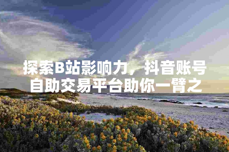 探索B站影响力，抖音账号自助交易平台助你一臂之力。
