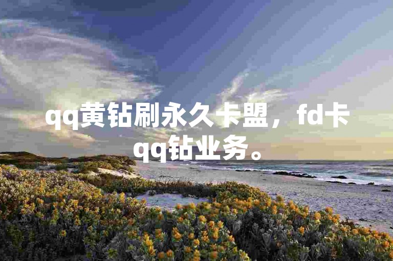 qq黄钻刷永久卡盟，fd卡qq钻业务。