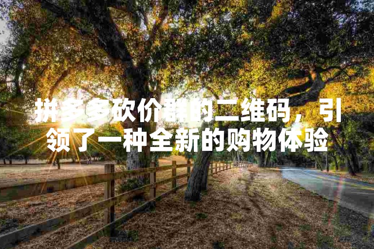 拼多多砍价群的二维码，引领了一种全新的购物体验与挑战。